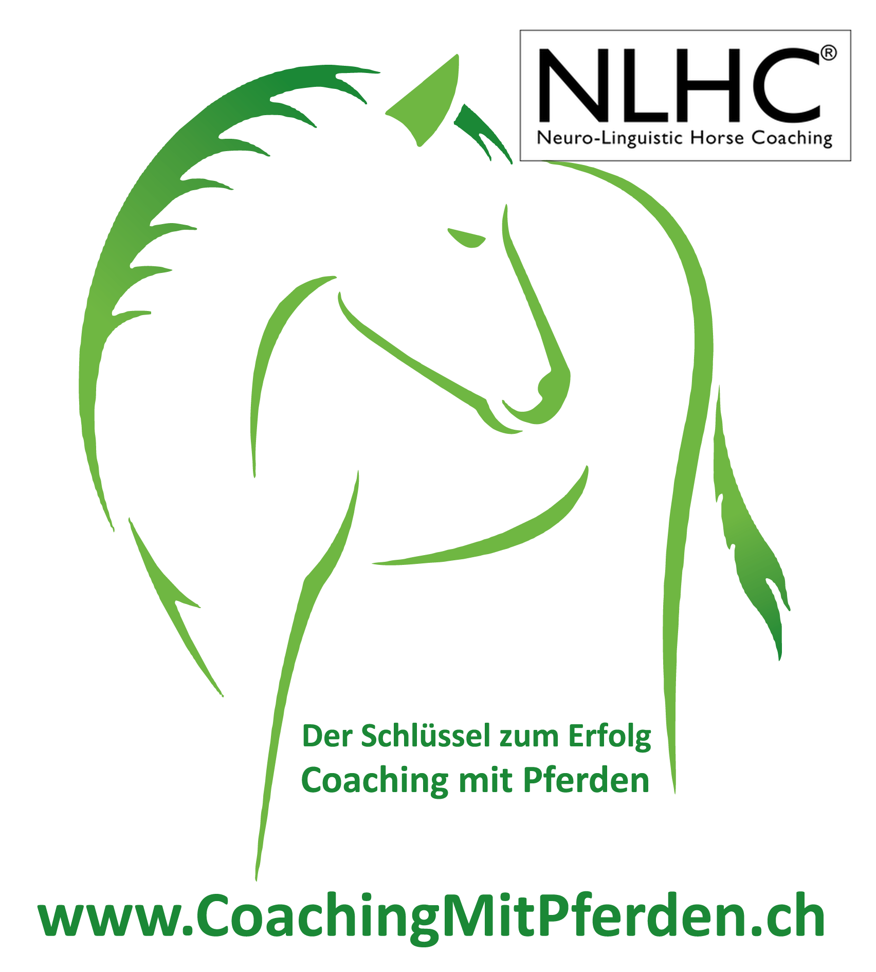 NLHC - Coaching mit Pferden, pferdegestütztes Coaching - Trainerausbildung NLHC - Coaching mit Pferden, pferdegestütztes Coaching - Trainerausbildung