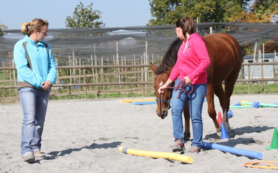 Train the Trainer Ausbildung - Coaching mit Pferden