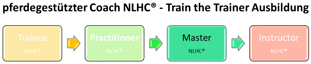 NLHC Master